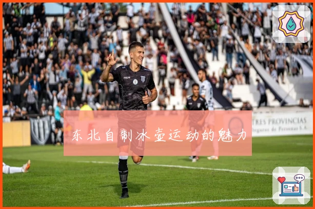 东北自制冰壶运动的魅力