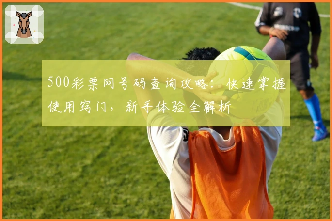 500彩票网号码查询攻略：快速掌握使用窍门，新手体验全解析