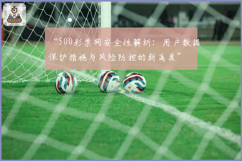 “500彩票网安全性解析：用户数据保护措施与风险防控的新高度”