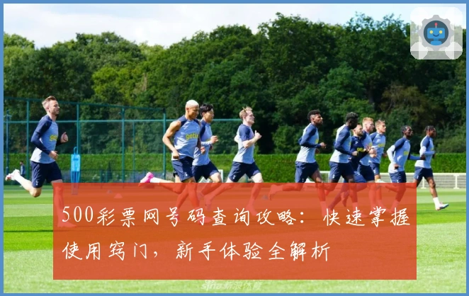 500彩票网号码查询攻略：快速掌握使用窍门，新手体验全解析